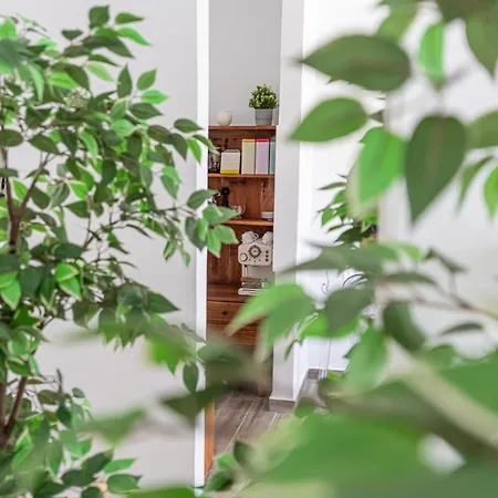 Fuerte Hygge Тарахалехо